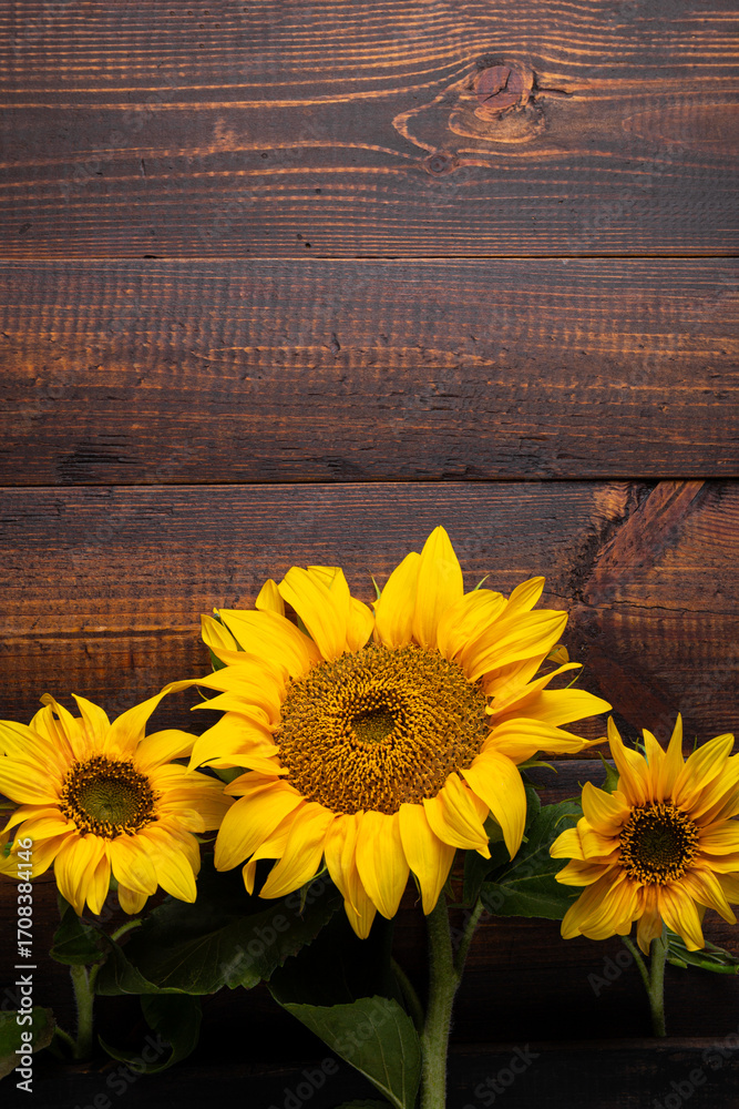 Obraz premium Autumn vertical background with sunflowers on wooden board, top view copy space for text