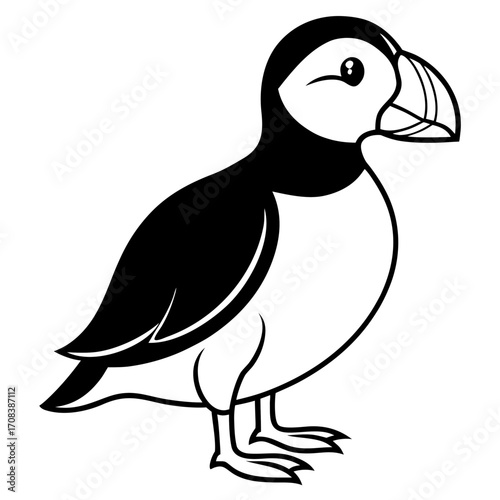 Puffin line art vector