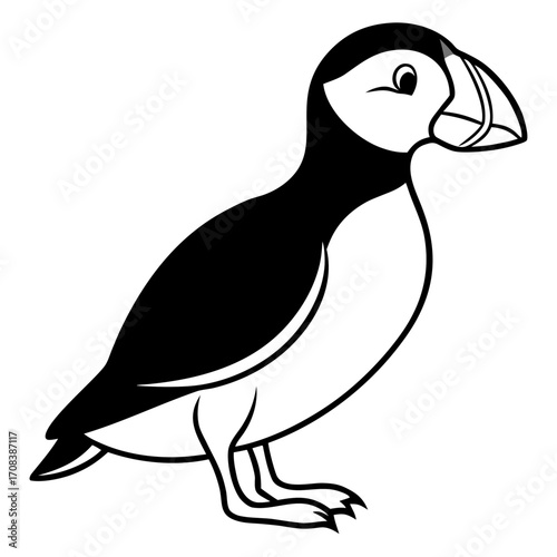 Puffin line art vector