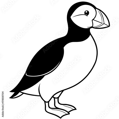 Puffin line art vector