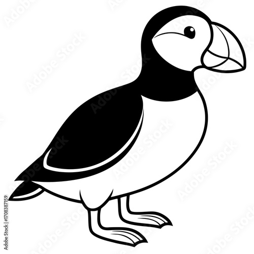 Puffin line art vector