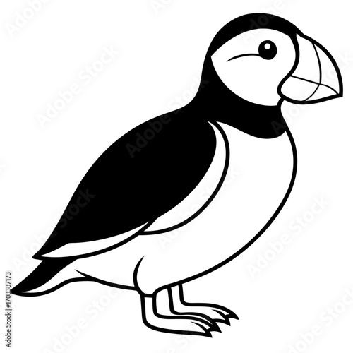 Puffin line art vector