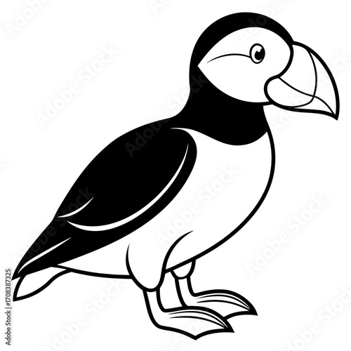 Puffin line art vector