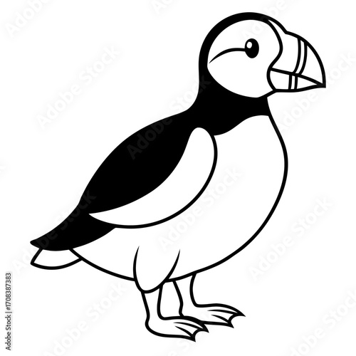 Puffin line art vector