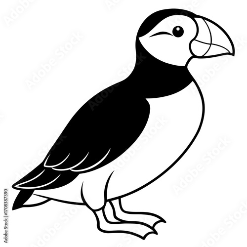 Puffin line art vector