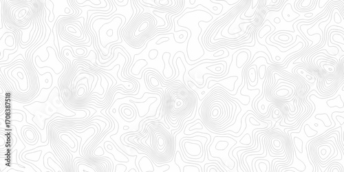 white topography map geography relief diagram texture design. Topography white background and black line world map texture design. Lines Topographic contour lines grid map seamless pattern.