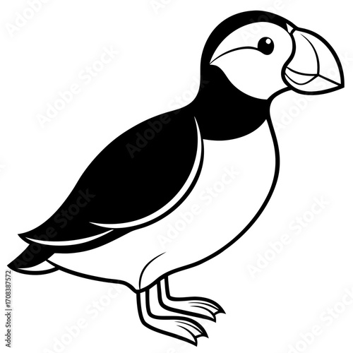 Puffin line art vector