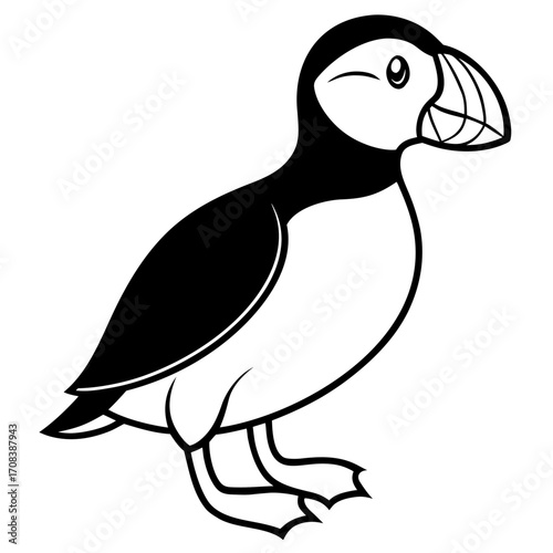 Puffin line art vector