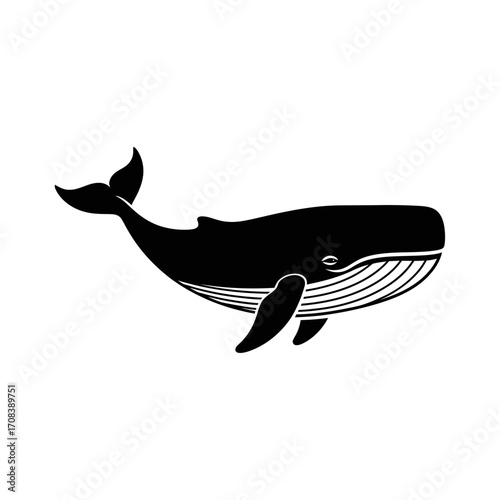 Black and White Whale Illustration with Distinctive Markings