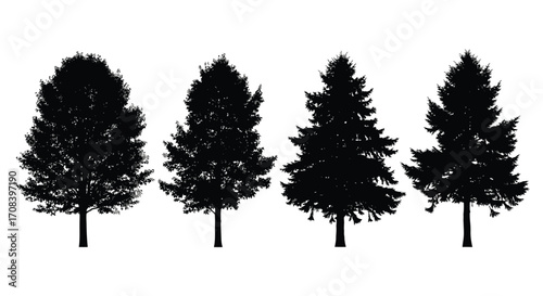 Collection of four distinct black silhouette trees various shapes evergreen forest nature elements vector