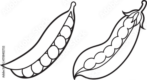 peas vegetable line art, coloring book page line art drawing, vector and illustration