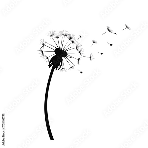 dandelion icon silhouette on white background