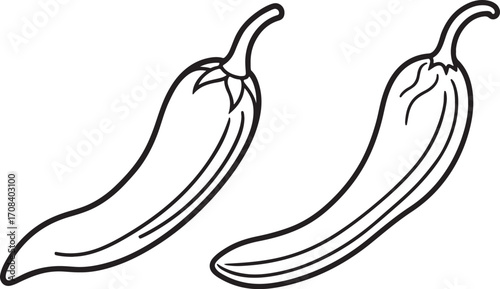 chili pepper line art, coloring book page line art drawing, vector and illustration