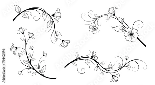 Elegant floral swirls and flourishes with delicate blossoms for decorative design elements vector