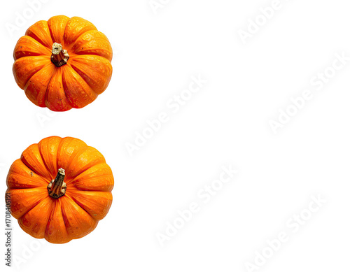 Wallpaper Mural Two small pumpkins, top view Torontodigital.ca