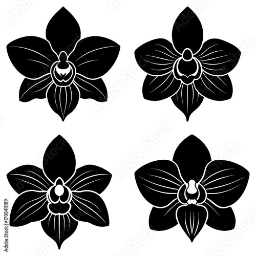 Four black and white orchid flowers with detailed petals and centers arranged on a white background in a square