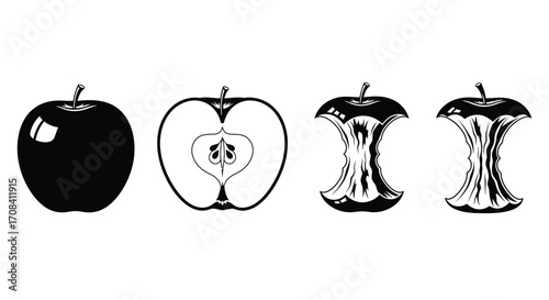 Stages of an apple from whole fruit to core isolated on vector