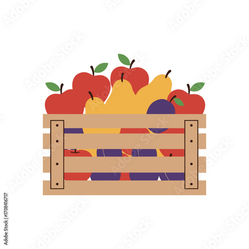 Harvesting fresh fruits colorful crate of apples and pears market digital illustration vibrant design. Vector illustration