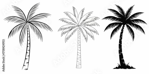 Palm tree silhouette vector
