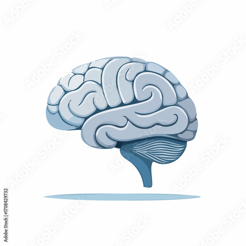 Illustrative Depiction of a Human Cerebrum