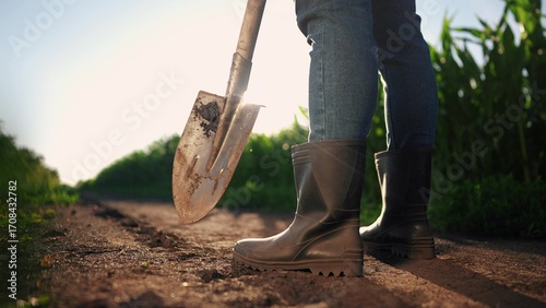 corn farming. a farmer walks next to a field of corn holding a shovel close-up of his feet in rubber boots. agriculture business corn concept. farmer feet in maize rubber boots with a shovel