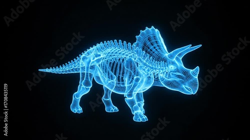 Dynamic blue wireframe triceratops skeleton animated projection, a prehistoric creature revealed in stunning 3D holographic detail, perfect for science education and futuristic presentations.