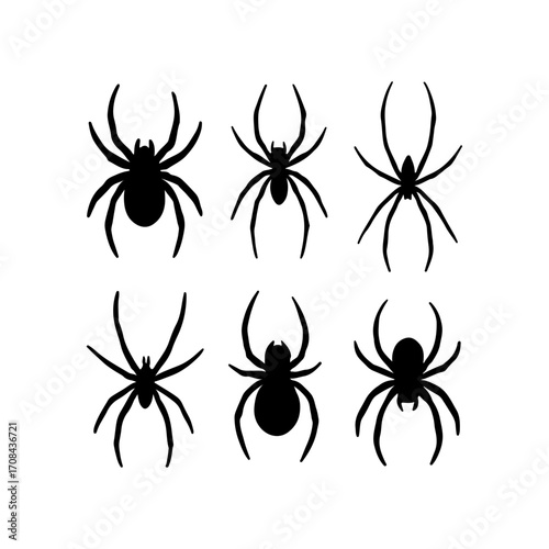 Spider Silhouettes Collection