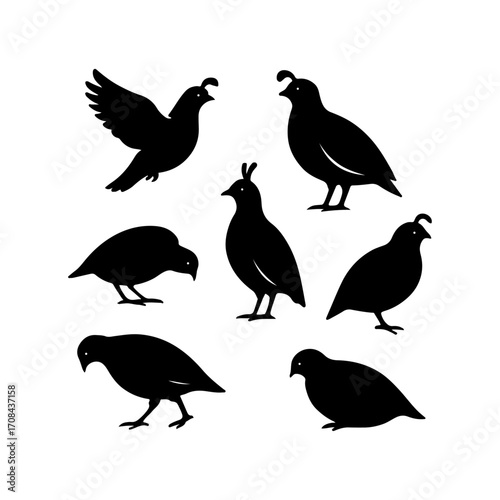 Quail Bird Silhouette Collection