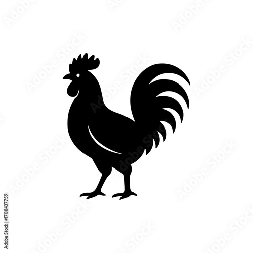 Farm Chicken Black Vector