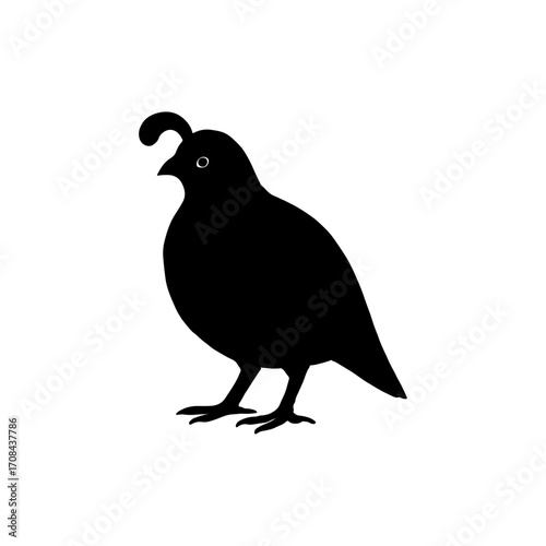 Quail Bird Silhouette Icon