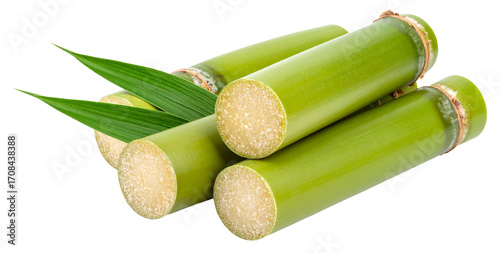 piles of sugarcane cuttings with leaves isolated on white background