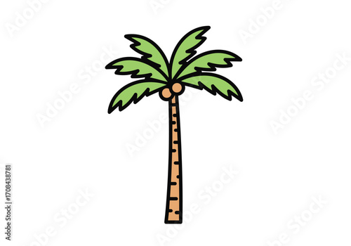 A tall green palm tree with coconuts stands against a white background.