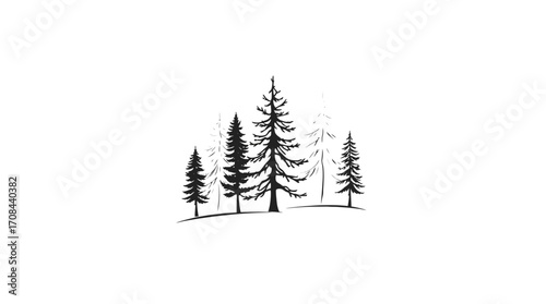 A minimalist illustration of a small group of evergreen trees on a slight incline, depicted in black and white.