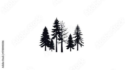 Silhouettes of various pine trees against a plain background.