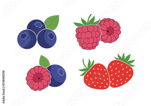 Four delicious types of fresh berries shown together as a group.