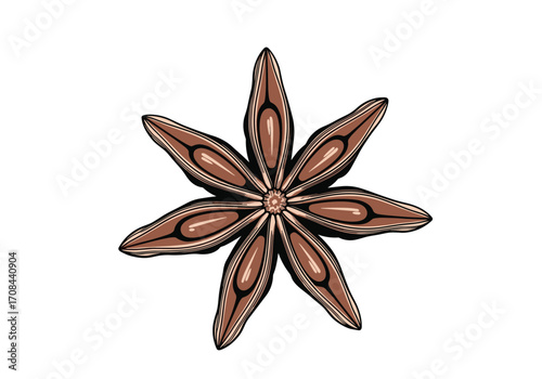 Fragrant star anise seed spice for culinary and medicinal uses.