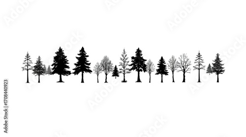 Silhouette of various trees in a row, some with leaves, some bare, against a white background.