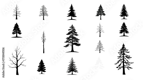Collection of stylized evergreen and deciduous tree silhouettes, various heights and shapes, black and white.