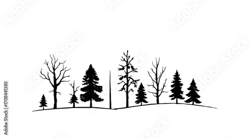 Silhouettes of various trees arranged in a horizontal line against a plain background.
