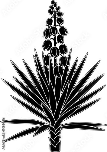  yucca silhouette line art vector illustration with a white background