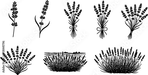 lavender silhouette line art vector illustration with a white background 