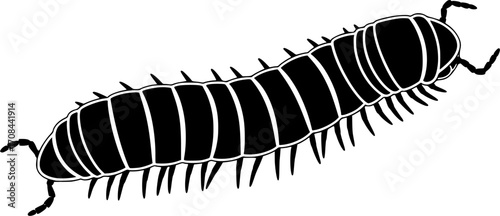 insect illustration depicts a segmented black millipede arthropod, displaying distinctive body structure