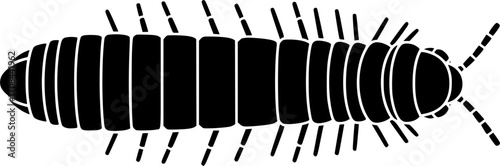 insect illustration depicts a segmented black millipede arthropod, displaying distinctive body structure
