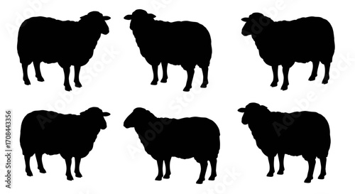 Collection of Six Standing Sheep Farm Animal Silhouettes.