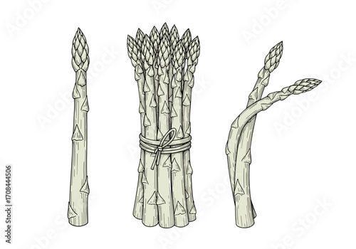 A collection of three bunches of fresh green asparagus spears arranged in a row.