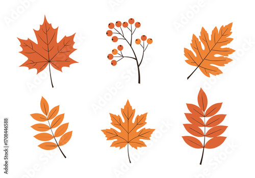 Autumn leaves and berries arranged in a decorative pattern on a white background.