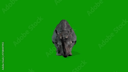 Realistic Rhino Walking Fast From Front Side 3D Rendering Animation on Green Screen
