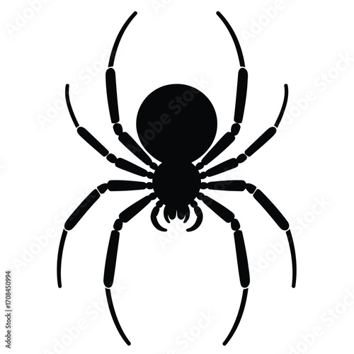 Black silhouette of a spider with extended legs, minimalist design