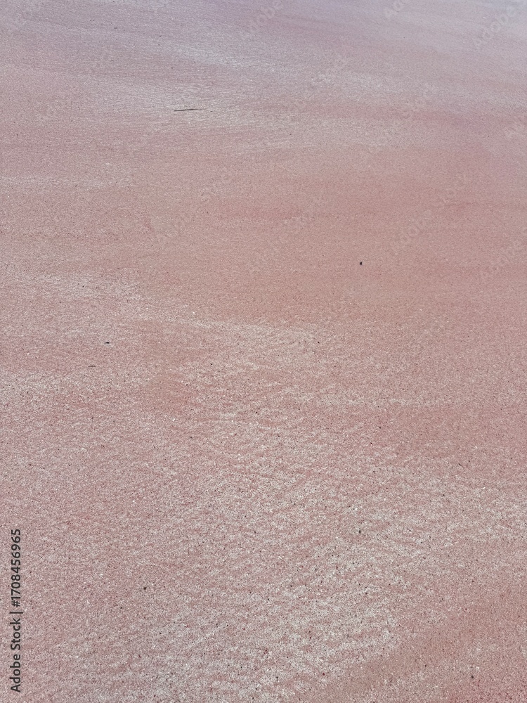 Fototapeta premium Stunning pink salt flats texture creating vibrant abstract pattern for modern design projects and unique backgrounds. Komodo National Park, Indonesia