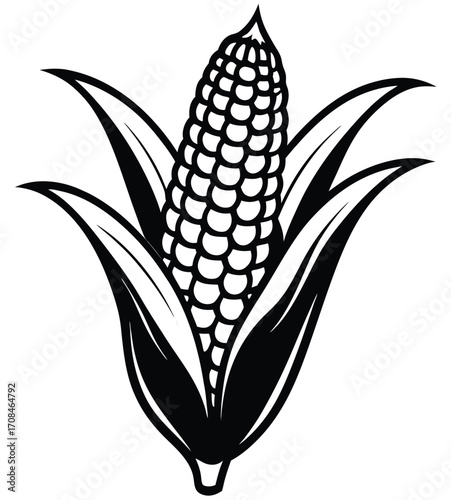 Vector illustration of a fresh yellow corn cob with green leaves, isolated on a white background